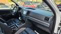 Volkswagen Amarok Aventura DoubleCab 4Motio/R.CAM/BI-XENON Wit - thumbnail 13