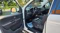 Volkswagen Amarok Aventura DoubleCab 4Motio/R.CAM/BI-XENON Wit - thumbnail 18