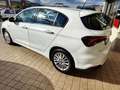Fiat Tipo Tipo 5porte II 2021 5p 1.6 mjt Business s Bianco - thumbnail 5