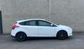 Ford Focus 1.6 TDCi - thumbnail 3