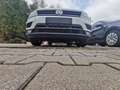 Volkswagen Tiguan Comfortline BMT/4Motion/Bitte Lesen!!/Pano/DSG/Nav Weiß - thumbnail 10