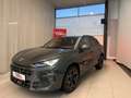 CUPRA Terramar 2.0 TSI 204 PS DSG 4Drive Grau - thumbnail 1