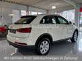 Audi Q3 2.0 TDI*PDC*Navi*Xenon*Bluetooth* Weiß - thumbnail 5