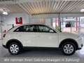 Audi Q3 2.0 TDI*PDC*Navi*Xenon*Bluetooth* Weiß - thumbnail 4