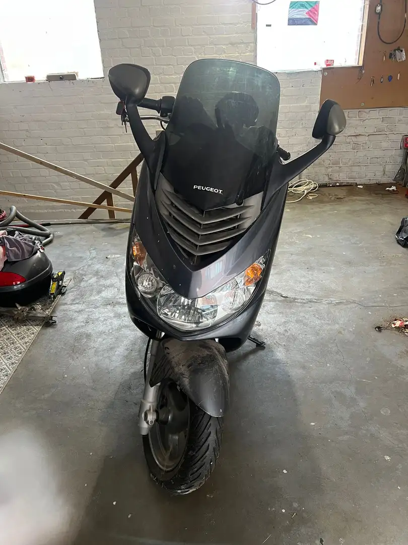 Peugeot Elystar Peugeot Elystar H2 - 1