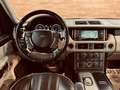 Land Rover Range Rover 4.4TdV8 Vogue Aut. Beżowy - thumbnail 6
