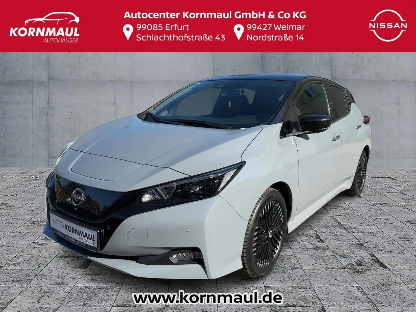 Nissan Leaf N-Connecta Winterpaket Allwetterbereifung Gris - 1