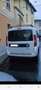 Fiat Doblo Doblo 1.3 mjt 16v Active Blanc - thumbnail 6