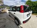 Fiat Panda Panda III 2020 1.2 Easy Blanco - thumbnail 6