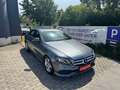 Mercedes-Benz E 220 D | ÖAMTC PICKERL | WIDESCREEN | HEAD UP | Inte... Szary - thumbnail 2