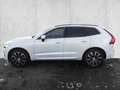 Volvo XC60 XC 60 B4 2WD Core 4xSHZ EL.HECK KAM Weiß - thumbnail 5