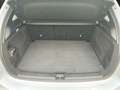 Mercedes-Benz B 180 B 180 +PROG LINE ADV+MBUX+LED+KAM+EASY-P+ASSIST+ Zilver - thumbnail 18