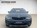 Skoda Octavia 2.0 TDI Combi Scout 4x4/AHK/SHZ/BI-XENON Gris - thumbnail 6