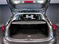 Ford Focus 1.0 EcoBoost Hybrid 125 CV SW Active Design Gris - thumbnail 12