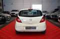 Opel Corsa D 1.2 Active Klima*Temp*8Fach* Weiß - thumbnail 6