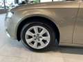Audi A4 Lim. 2.0 TDI AHK GRA Kamera Navi Xenon 16" Beige - thumbnail 6