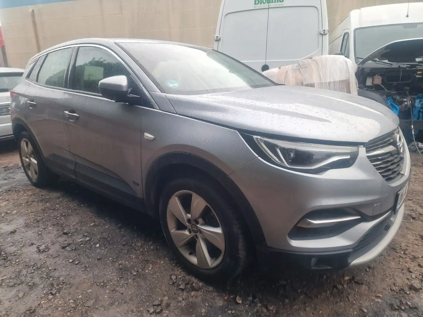 Opel Grandland X - 1
