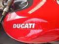 Ducati 998 Testastretta Rouge - thumbnail 4