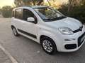 Fiat Panda - thumbnail 3