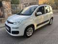 Fiat Panda - thumbnail 1