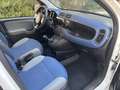 Fiat Panda - thumbnail 5