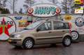 Fiat Panda 1.2 Edizione Cool 1e Eig. 31.470 km +NAP NL-auto Beige - thumbnail 1