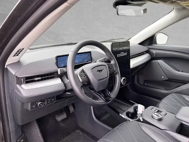 Ford Mustang Mach-E view 6