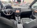 SEAT Ibiza XCellence 1.0 TSI DSG SHZ NAVI PDC KEYLESS LED BEA Grau - thumbnail 22