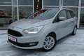 Ford Grand C-Max Grand C-MAX 1.0 EcoBoost Navi Kamera AHK Klima Argent - thumbnail 2