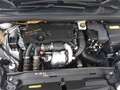 DS Automobiles DS 4 4 DS 4 1.6 HDi115 Air Chic Finanziato Bianco - thumbnail 19