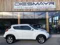 Nissan Juke 1,5 dCi Acenta Weiß - thumbnail 6