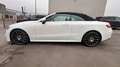 Mercedes-Benz E 220 E Cabrio E 220 d Weiß - thumbnail 4