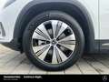 Mercedes-Benz EQA 350 EQA 350 4M Progressive+ Fahr-Assi-Distronic 360° Weiß - thumbnail 19
