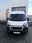 Peugeot Boxer L2H2 Asphalt 2020 11528€ Netto/GARANTIE Blanc - thumbnail 2