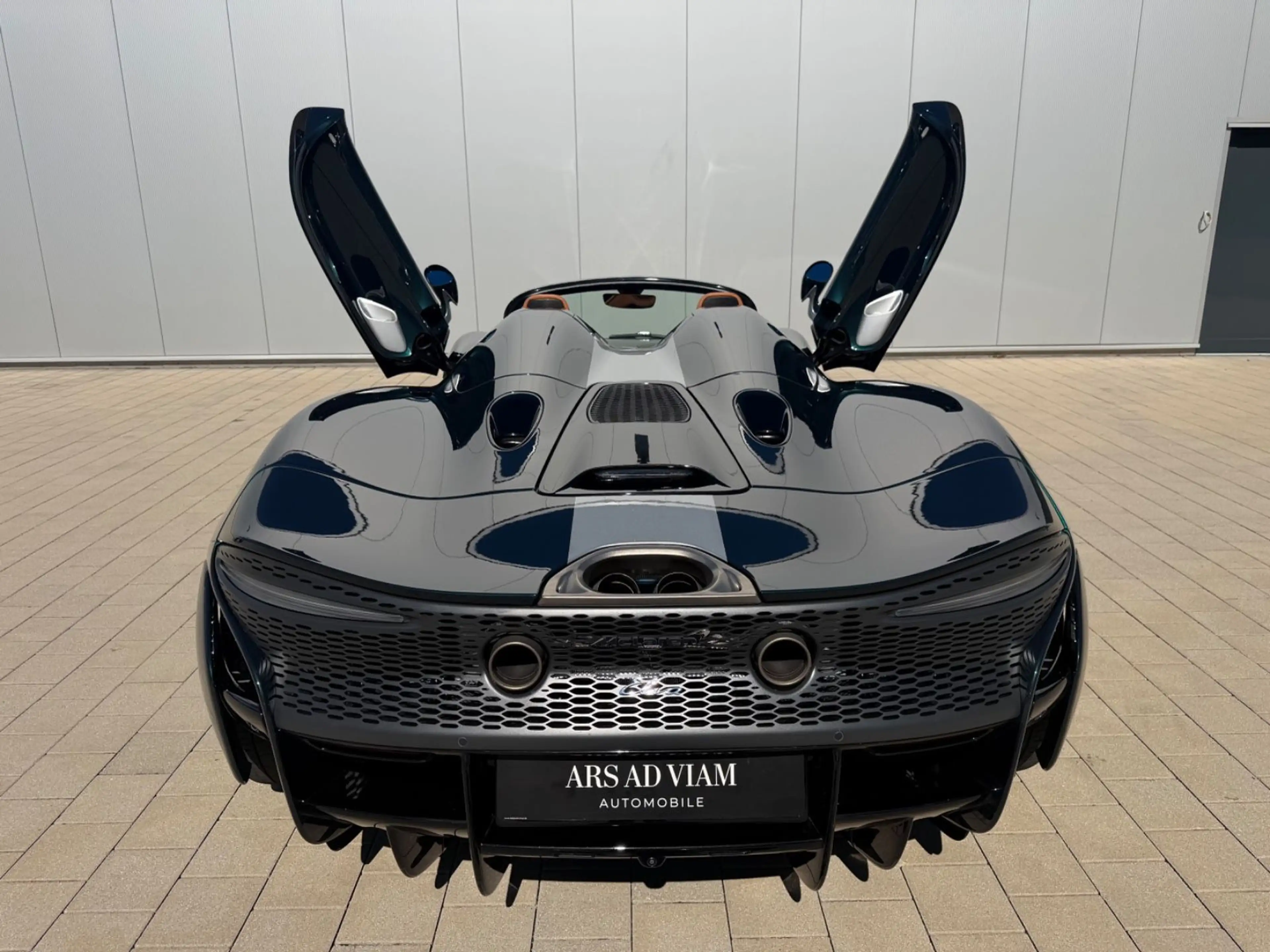 McLaren Elva 1 of 15 — photo 9