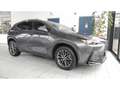Lexus NX 450h+ 450H+ AWD Plug-in | Leer | LED | Stoelverw | Parks Gris - thumbnail 29