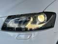 Audi A3 Cabrio 2.0 tdi Ambition s-tronic Wit - thumbnail 7