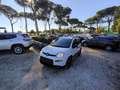 Fiat Panda 1.0cc HYBRID GSE CITYLIFE 70cv BLUETOOTH Bianco - thumbnail 1