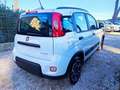 Fiat Panda 1.0cc HYBRID GSE CITYLIFE 70cv BLUETOOTH Bianco - thumbnail 4