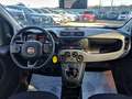 Fiat Panda 1.0cc HYBRID GSE CITYLIFE 70cv BLUETOOTH Bianco - thumbnail 9