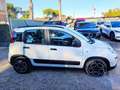 Fiat Panda 1.0cc HYBRID GSE CITYLIFE 70cv BLUETOOTH Bianco - thumbnail 6