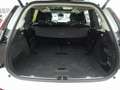 Volvo XC90 Plus T8 AWD Plug-in Hybrid/FourC/AHK/Pano Weiß - thumbnail 23