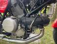 Ducati 1000 GT Rojo - thumbnail 3