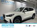 BMW iX1 xDrive30 DAB/ad.LED/RFK/aut.Heckkl. Weiß - thumbnail 1