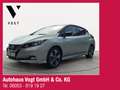 Nissan Leaf Tekna Bose ProPilot°NAVI°360°KAMERA° Verde - thumbnail 1