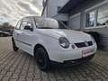 Volkswagen Lupo 1.0 Allwetter TÜV NEU 1. Hand wenig KM Blanc - thumbnail 4