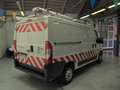 Fiat Ducato 3.0 Natural Power Pochissimi Km 136CV Bianco - thumbnail 4