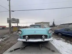 1955 Ford Thunderbird
