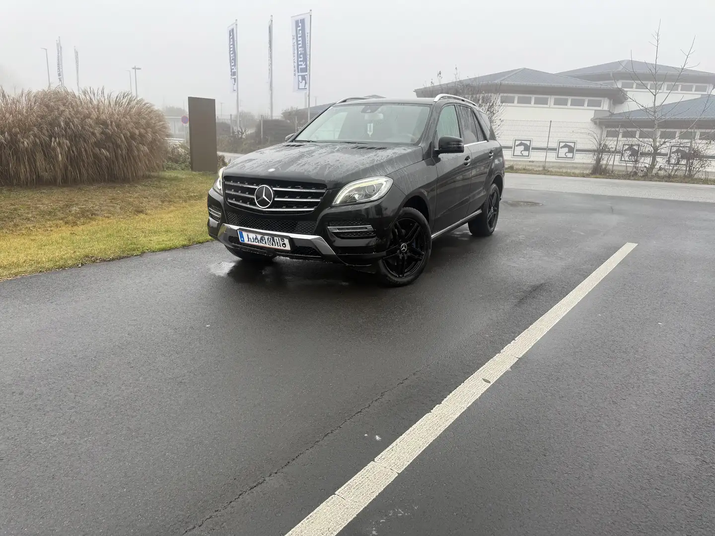 Mercedes-Benz ML 250 BlueTEC 4MATIC Aut. DPF - 1