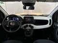 Fiat Panda 1.0 FireFly 70cv S&S Hybrid Pandina Giallo - thumbnail 8
